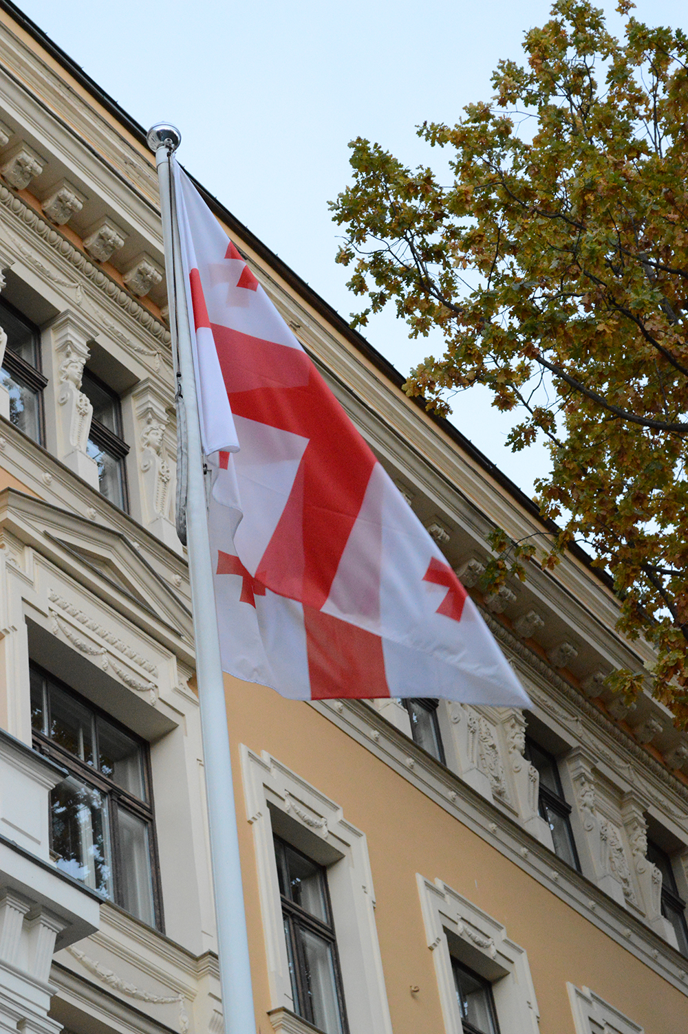 Georgia embassy official Flag