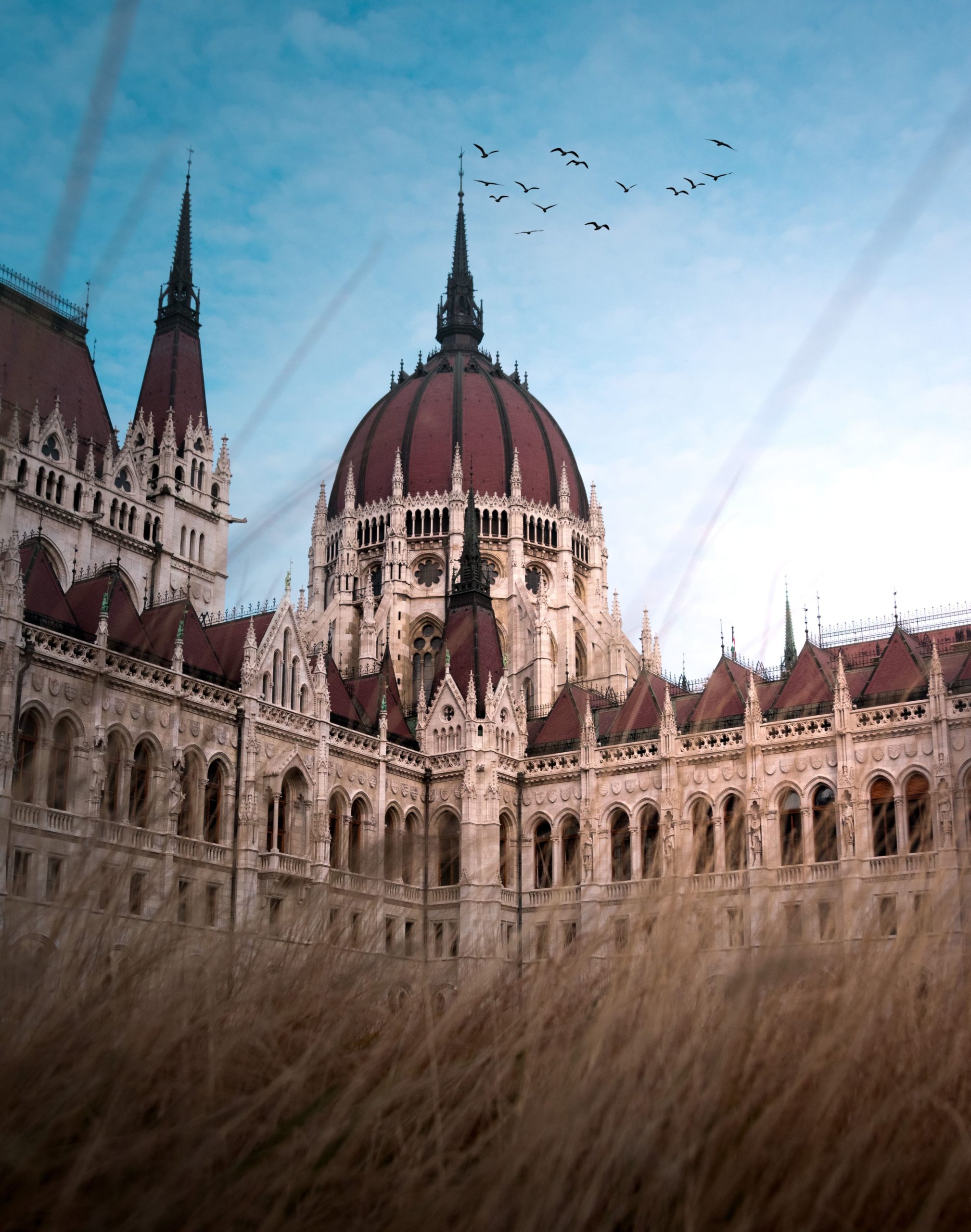 Education in Hungary - Immigration residency blog
