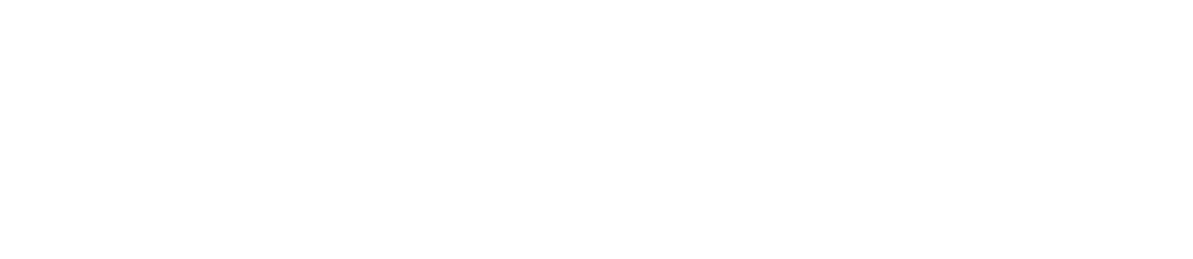 New Zealand embassy Official logotype